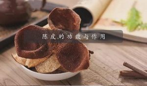 陈皮的功效与作用